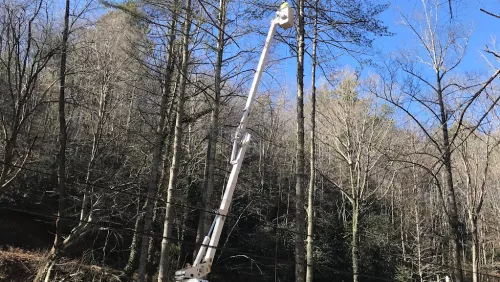 Tree cutters removed a large tree from my house fast and efficiently