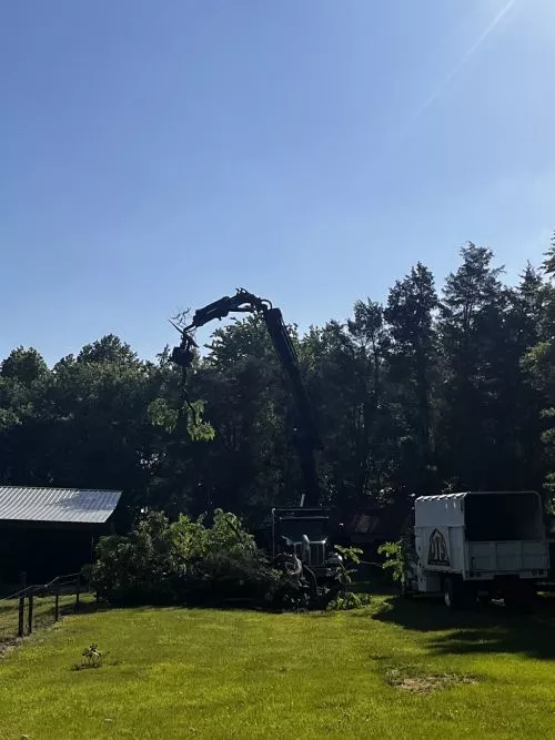 Dillon Tree Service removed a large tree right in front of the garage that was partially dead