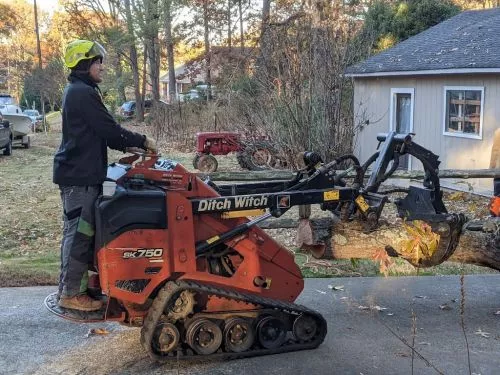 Thank you so much for the tree removal service and the excellent results