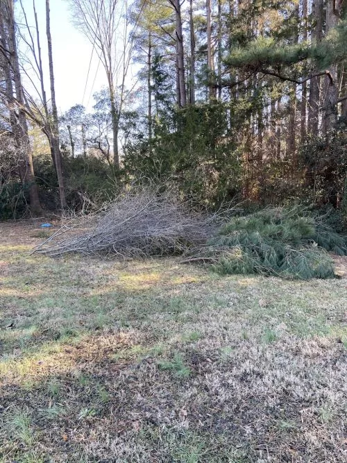 Raleigh NC 27604 This is the third time Burfords Tree (a subcontractor for Duke Energy) has shown up to prune my trees