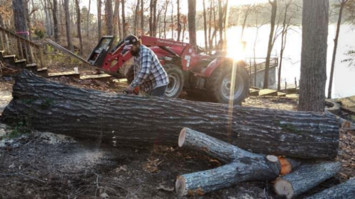  alt='Chris and his crew topped and trimmed an oak tree and four pecan trees for us. He has also removed trees for us in the past'