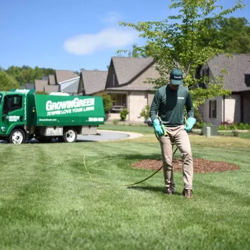 Curt takes great care of my lawn. He’s knowledgeable and professional