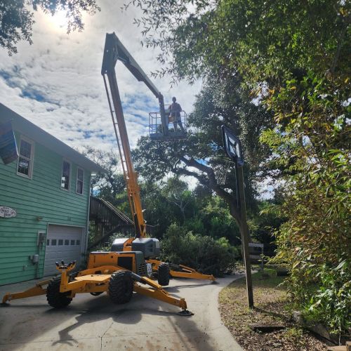  alt='Aaron and Bob did an amazing job with my five big pine trees on the north side of my house in EI'