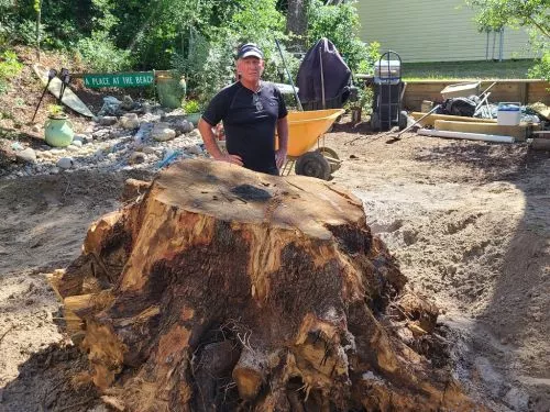 We had the pleasure of having Aaron, Bob and Christian to our house this week to do some much needed tree work