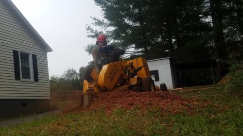  alt='David is a professional at stump grinding. Up front competitive pricing, great communication, handled 811 contact, on time,'