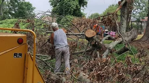 I hired these guys to take down a huge tree in my back yard in an area very close to my garage and my fence, very tight