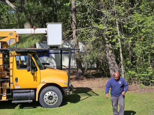  alt='Wallace Teel removed 6 pine trees and roots from our property. He did a fantastic job. My wife and I are very pleased'