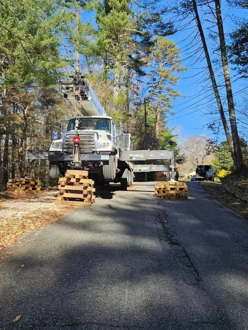 Excellent and speedy work! They did a great job of helping me identify sick trees and then got the job done quickly and