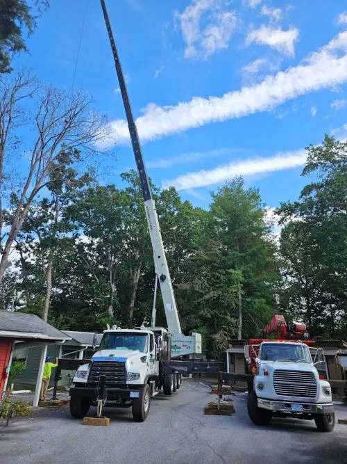 "Above and Beyond" Adrian Burns"s team indeed went above the norm during a recent day"s work removing trees & limbs, &