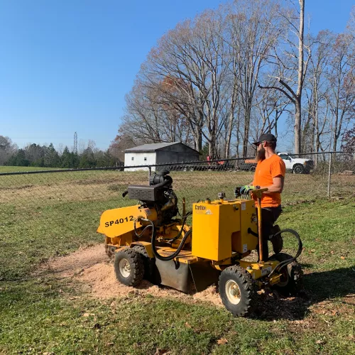 This crew came to remove trees and grind a few stumps at our new house