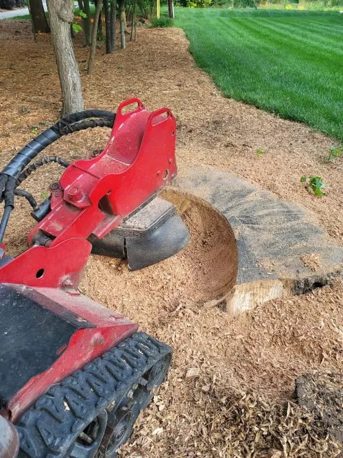 I called Wayne at 10am and he was at my home at 2pm to provide an estimate. He came prepared to do the job (grind 3 stumps)