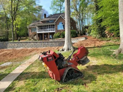 I originally hire Wayne to grind up 12 tree stumps, during our conversation we added a large area of old azelea to grind