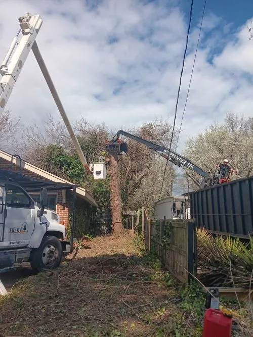 A large tree in our backyard fell during a storm. In the process, it also took out a pecan tree and a pear tree, before