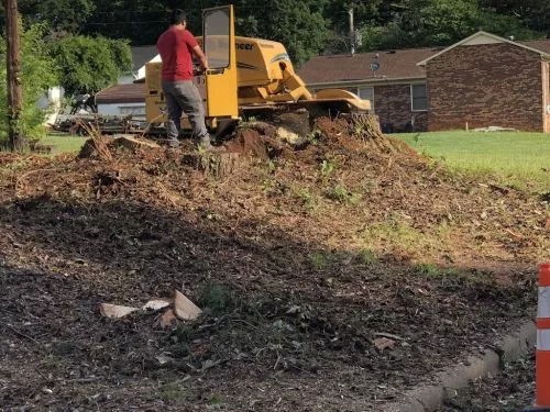 My large pine uprooted and fell, My Crew came and removed in less than two hours, the best part, my yard wasn’t destroyed