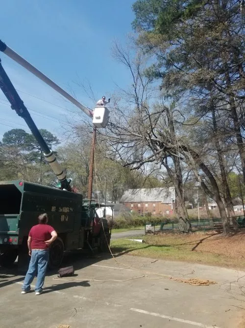 Mr. Staton and his crew came to my house and cut down 2 trees and trimmed a few others