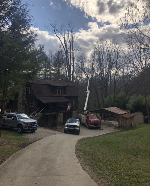  alt='Nathan and his men dropped a tree that many did not want to touch along my driveway'