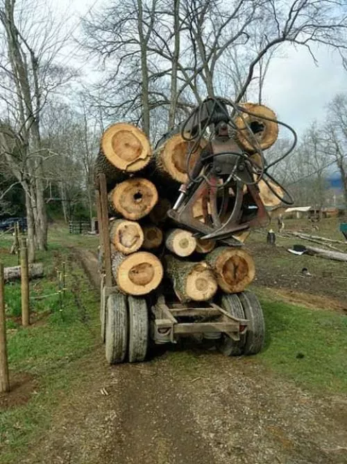 This is the second time I’ve used Naamon’s company to remove big red oaks that hung over our cabin and work shop and had