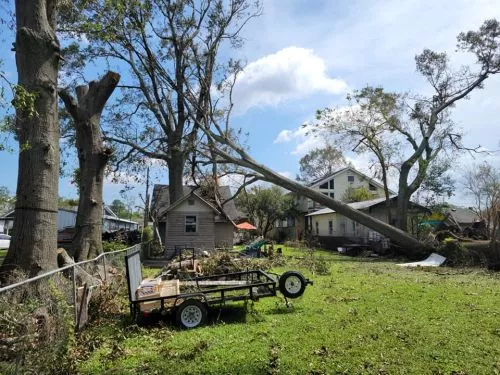 Very responsive and came quick to provide the estimates. Was able to find an appointment quickly and get the trees removed