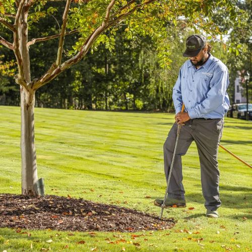  alt='Spring-Green lawn service made a dramatic improvement to my lawn by taking care of it from every possible angle weeds'