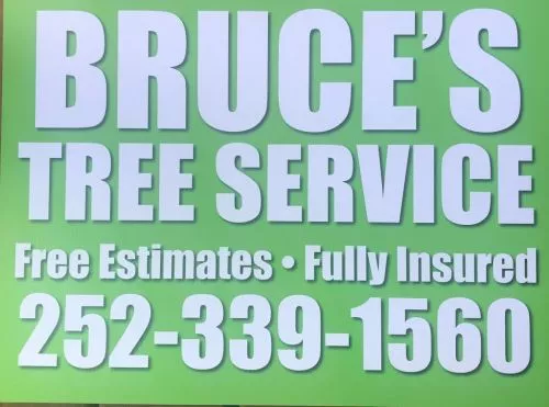 I first reached out to Bruce in Oct 2020 to inquire about having several trees removed in order to improve and protect my