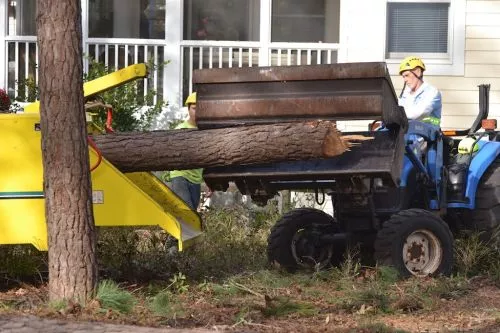 Advanced Tree removed all the pine trees on my property and pruned my large oak trees