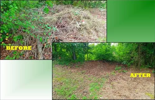 Mike did an excellent job cleaning up our brush and laying new pine straw to make the front and backyard look pristine