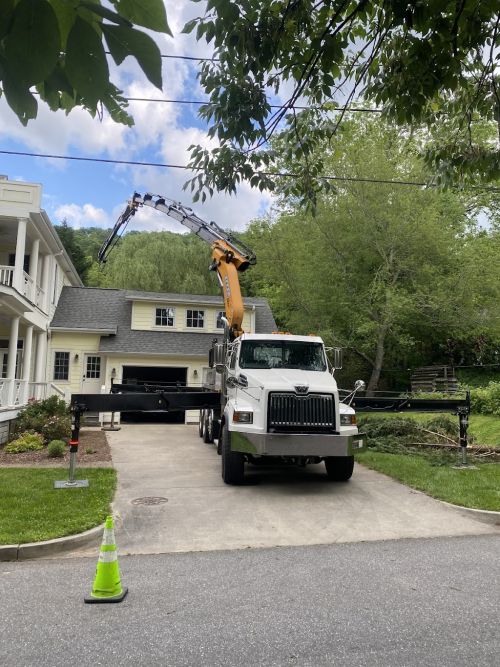  alt='Asheville Arborists were as great as all of their reviews say. Had a 40-45 ft pine starting to fail and leaning toward my'