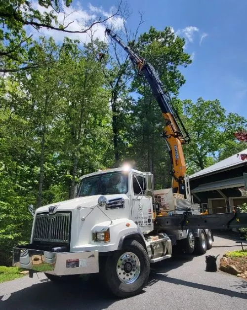 Asheville Arborists were as great as all of their reviews say. Had a 40-45 ft pine starting to fail and leaning toward my