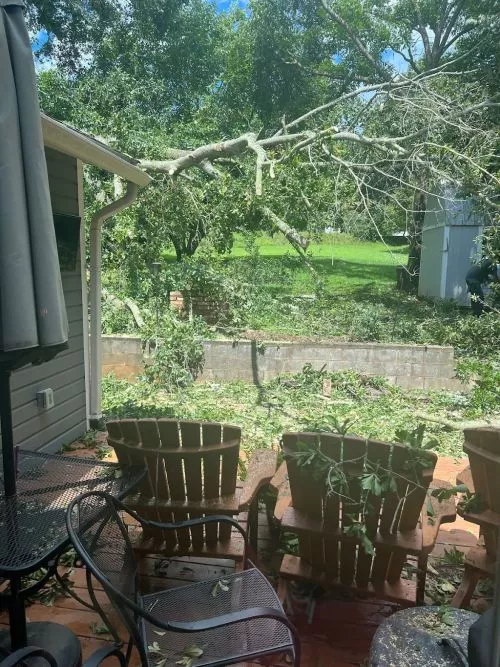 Rocky Top Tree Service did an amazing job cleaning up a tree that fell after the storm the other day