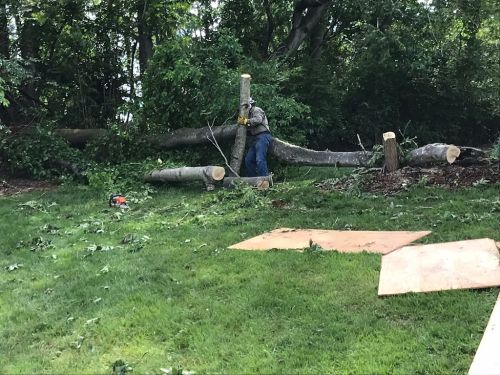  alt='Outstanding work for a fair price. Very professional. We are extremely satisfied with the difficult removal of 2 trees on'