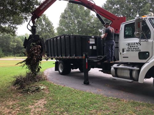  alt='Allen Tree service just removed 8 22 year old Bradford Pear Trees'