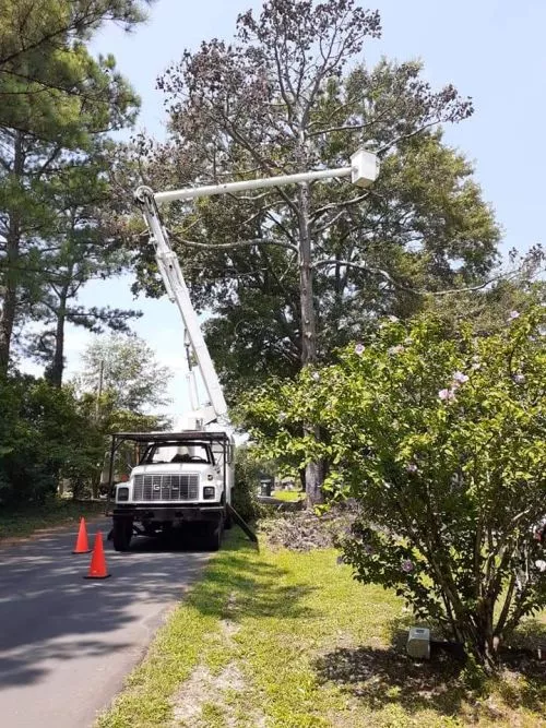 Big Oak Tree Service did a great job taking down a huge Oak ( 58 inches across the stump ) at my mom"s house