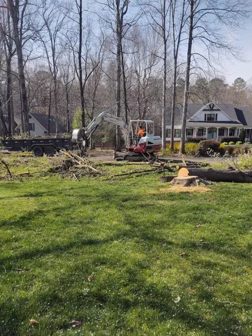 We have used Big Oak Tree Service several times. We have always been pleased with Sandy and his crew