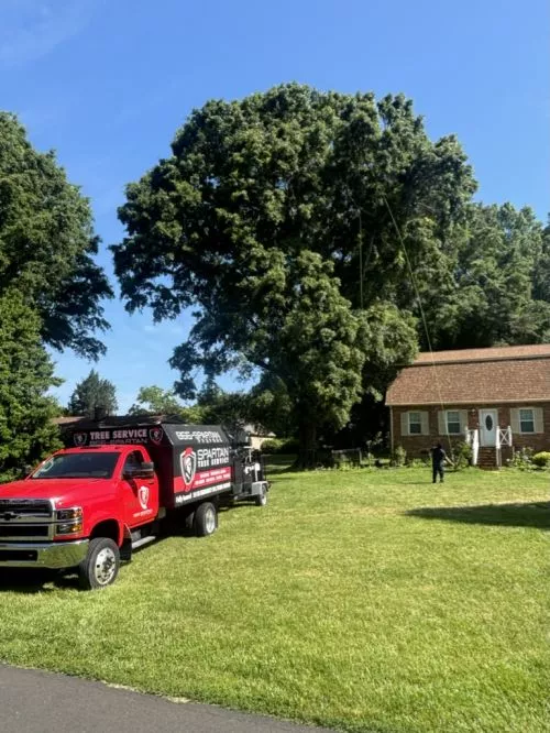 Spartan Tree Service provided excellent tree cutting services at competitive rates. I highly recommend their services. 