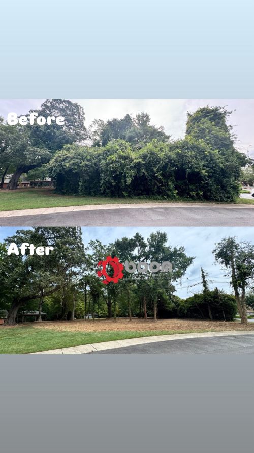  alt='Highly recommend Boom Brush Control. We had a tree fall behind our house in wooded area, they did an excellent job clearing'