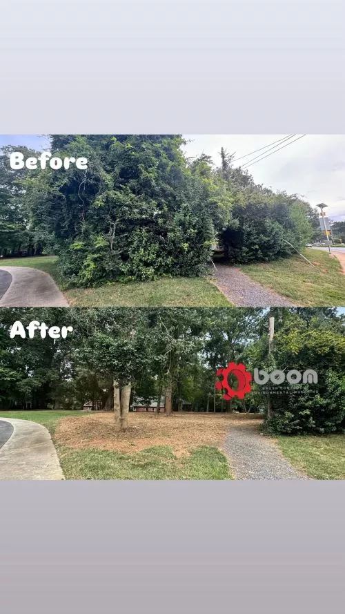 Highly recommend Boom Brush Control. We had a tree fall behind our house in wooded area, they did an excellent job clearing