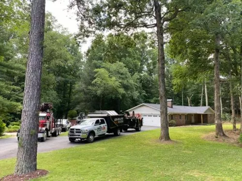 My wife and I hired Isaac Brown and his crew to cut some trees on our property and were once again very pleased with their