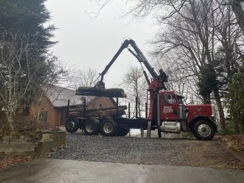 We had a 110 foot red oak tree near the house that had to come down