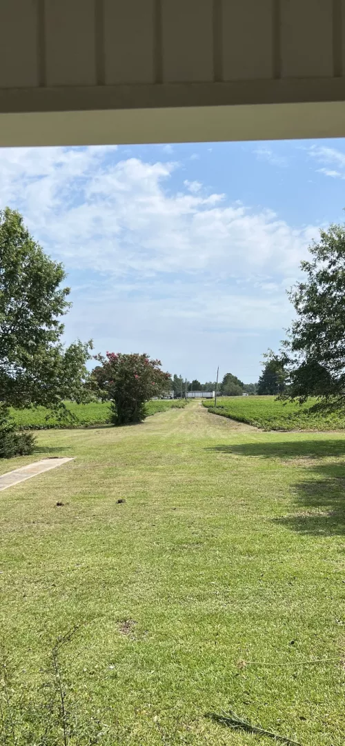 A&V Landscaping did a marvelous “transformation” of our entire yard, for about 10 days due to weather