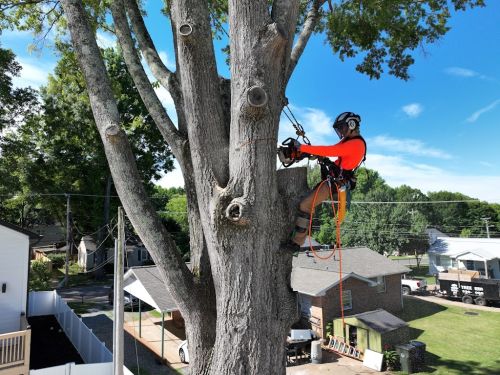  alt='I had a great experience watching the climbers did a really awesome job!'