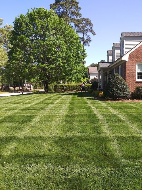  alt='Patrick is amazing. Our lawn went from all weeds and bare areas to lush green carpet'