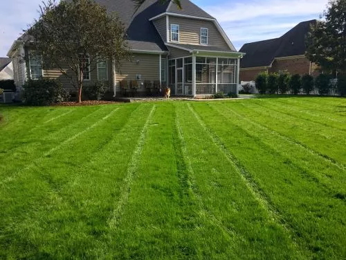 We have used Lawnmaster since moving back to Wilson in 2016. The work they do is flawless-even to a detail-oriented person