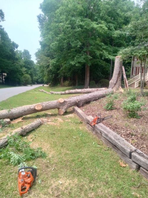  alt='I hired JJ and his crew to remove 2 dead trees and clear about 1. 5 acres of fallen limbs, brush, etc from our property'