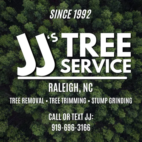 I hired JJ and his crew to remove 2 dead trees and clear about 1. 5 acres of fallen limbs, brush, etc from our property