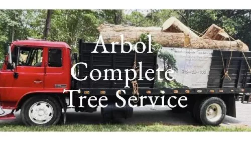 The team at Arbol did a fantastic job clearing out several large trees from our new property