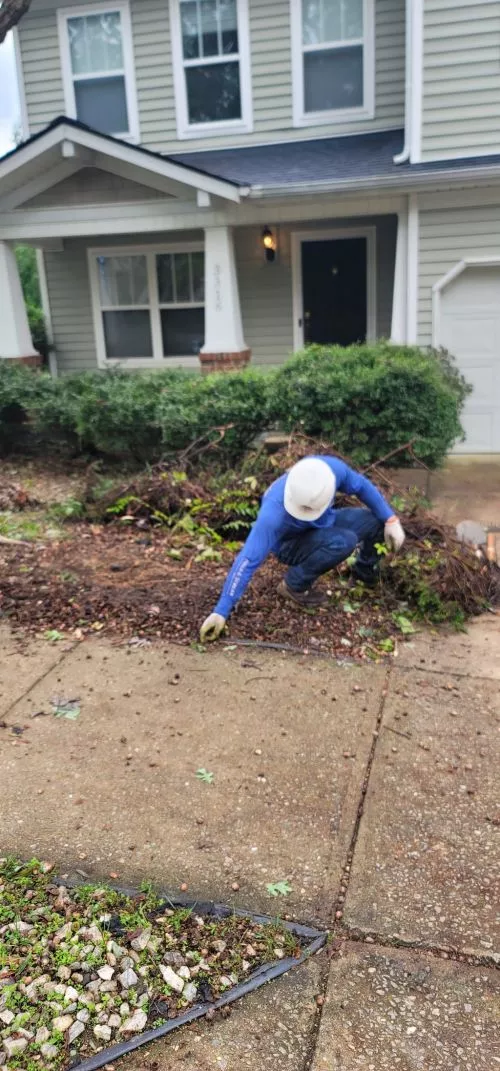 This team did an amazing job of removing three large trees for us