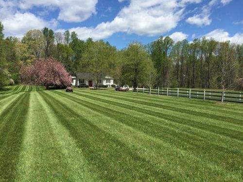  alt='Call to schedule an appointment. The guy we spoke to over the phone said the price would be a $65 to do a small yard and'