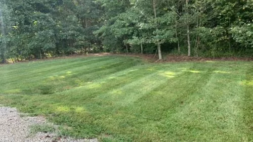 Got in touch yesterday with a rush job and he came out today to fix/mow our jungle(lawn)