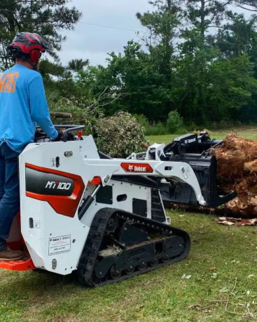 I highly recommend VRS. They cut down several dying trees around my back fence and removed some brush in a timely manner