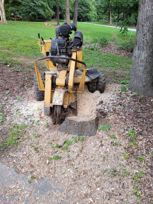  alt='Alex did a great job removing a stubborn stump from my backyard, definitely ask for a quote from him if you are looking for'